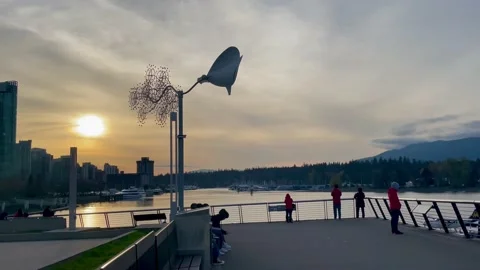 Beautiful Sunset View Video stock 239883466