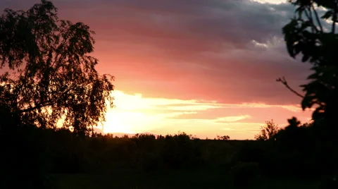 Beautiful sunset view from forest Stock Footage 63392899