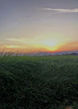 Beautiful sunset view Stock Photos