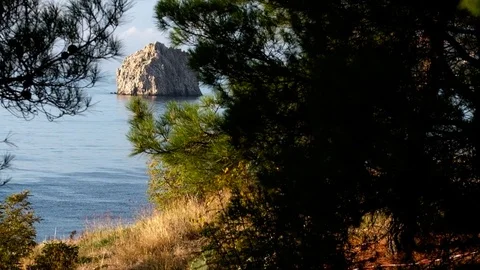 Beautiful sunset view of the pine forest and the sea in the background Stock Footage 84076130