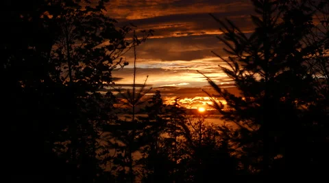 Beautiful sunset view at Stanley Park in Vancouver BC Canada. Stock Footage 68660815