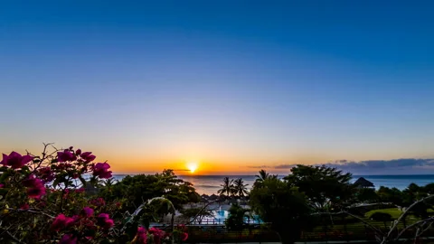 Beautiful sunset in Zanzibar Stock Footage 87827101