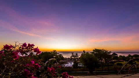 Beautiful sunset in Zanzibar Stock Footage 87828627