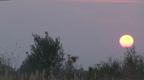 A beautiful sunset,Time Lapse Video stock 11887111