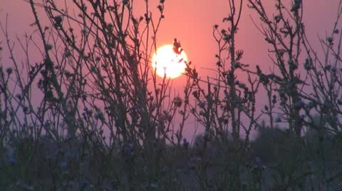 A beautiful sunset,Time Lapse. Vídeos de archivo 11887278
