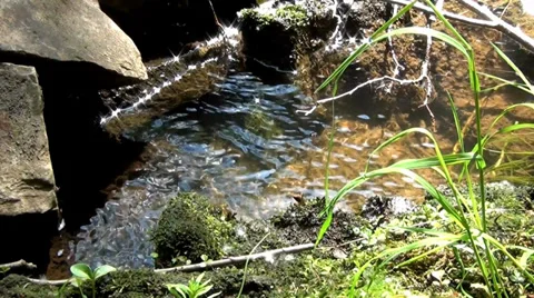 Beautiful Sunshine Reflection From The Water Surface 動画素材 38441180