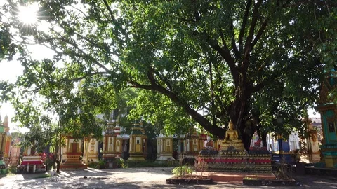 Beautiful sunshine in a temple Stock Footage 83160894