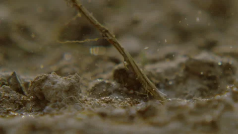 Beautiful super slow motion shot of Water Drops Hitting The Ground Stock Footage 236392007