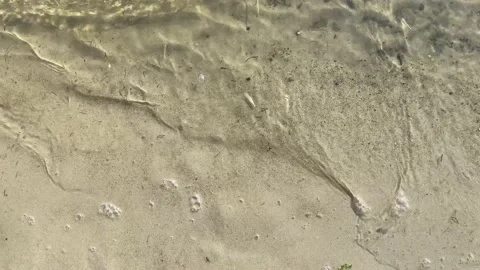 Beautiful surf on the sandy beach   Stock Footage 143449032