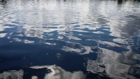 A beautiful surface of a fresh pond with a reflection of the sky and circles of 動画素材 223495661