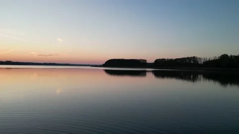 Beautiful swan Stock Footage 221251953