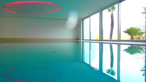 Beautiful Swimming Pool with Window View with Palm Tree 動画素材 194012414