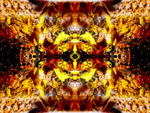 A beautiful symmetrical pattern Stock Illustration