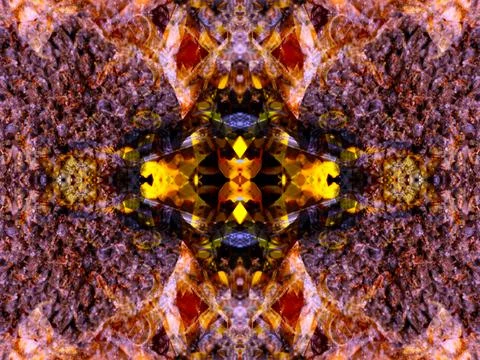 A beautiful symmetrical pattern Stock Illustration