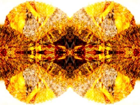 A beautiful symmetrical pattern Stock Illustration