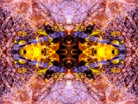 A beautiful symmetrical pattern Stock Illustration