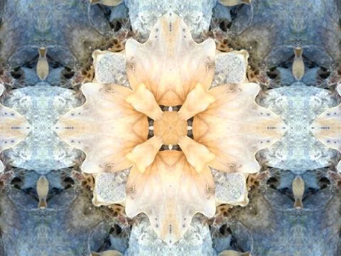A beautiful symmetrical pattern of overlapping and intersecting leaves, foliage, Stock Photos