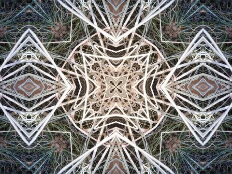A beautiful symmetrical pattern of overlapping and intersecting dry grass, Stock Photos