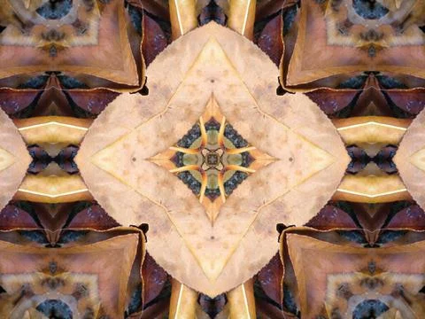 A beautiful symmetrical pattern of overlapping and intersecting leaves, foliage, Stock Photos