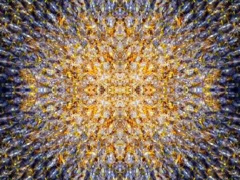 A beautiful symmetrical pattern Stock Photos