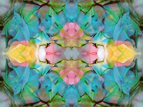 Beautiful symmetrical pattern Fotos Stock