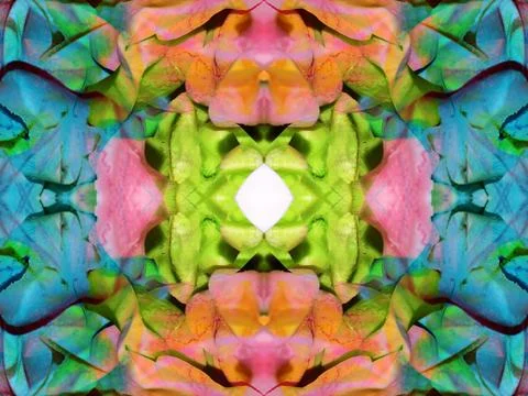 Beautiful symmetrical pattern Stock Photos