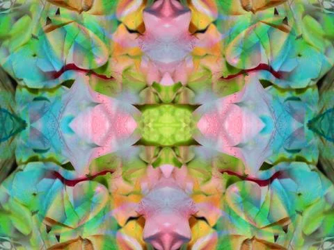 Beautiful symmetrical pattern Stock Photos