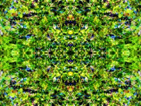 Beautiful symmetrical pattern Stock Photos