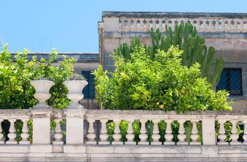 Beautiful Syracuse Stock Photos