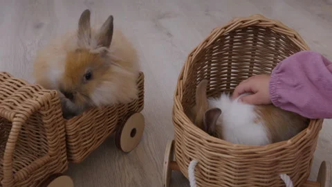 Beautiful table setting for the bright religious holiday Easter Stock Footage 306471158