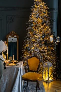 Beautiful table setting with Christmas decorations in living room Stock Photos