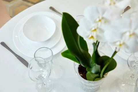 Beautiful table setting, great design for any purposes. Traditional festive Stock Photos