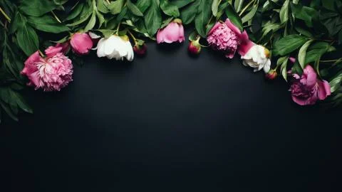 Beautiful table top view of pink and white peonies on the black background. Flat Stock Photos