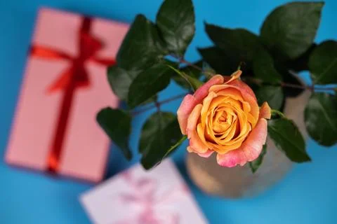 Beautiful tea rose with decorative elements. Stockfoto's