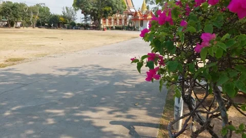 Beautiful temple in bright light Stockbeeldmateriaal 261243828