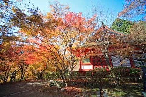 Beautiful temple with nice maple Stock Photos