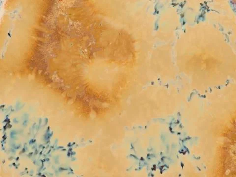 Beautiful texture ceramic mosaic Stock Photos