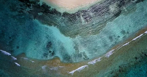 Beautiful texture with coral reef, algae and pebbles pattern with brown, Stock Footage 120273494