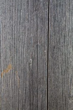 The beautiful texture of a dried old tree. Stock Photos