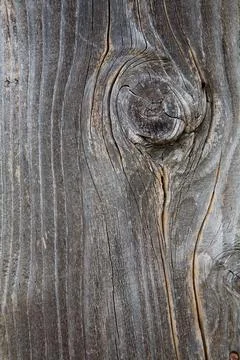 The beautiful texture of a dried old tree. Stock Photos