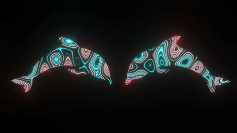 Beautiful texture or pattern formation on the two Dolphins body shape. Stock Footage 145737628