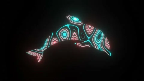 Beautiful texture or pattern formation on the Dolphin body shape. Video stock 145737643