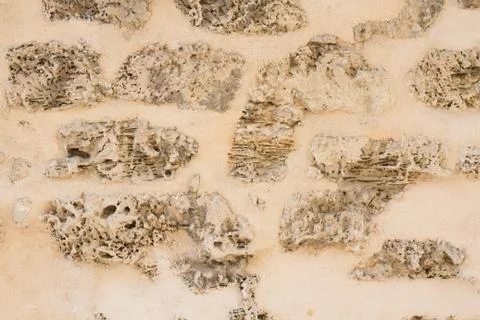 Beautiful texture Stock Photos