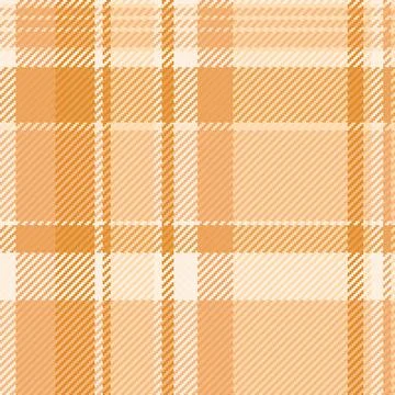 Beautiful texture vector pattern, bedding fabric tartan background. Female .. Stock Illustration