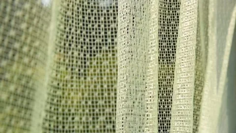 Beautiful thin curtain moves in the wind against the backdrop of a green gard Stock Footage 105462658