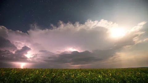 Beautiful thunderstorm with clouds, lightning and moon over a field sunflowers 스톡 동영상 158320345