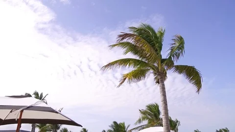 Beautiful Tild Down at Hotel Pool Stock Footage 128095592