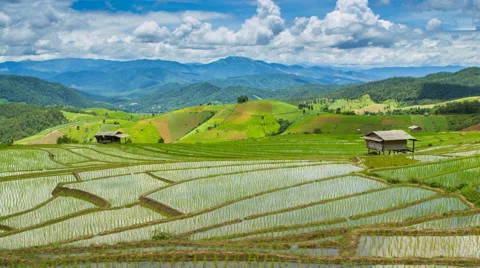 Beautiful time lapse clouds floating over terrace rice farm and raining Stock Footage 40784197