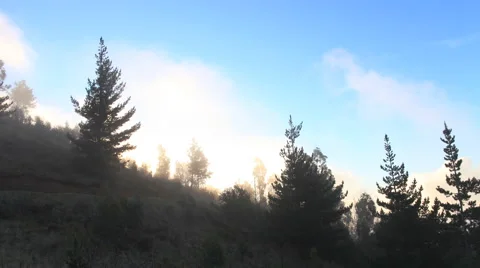 Beautiful time lapse of Clouds Over Pine Trees with Sun in Maui Hawaii 4K UHD 스톡 동영상 58130696