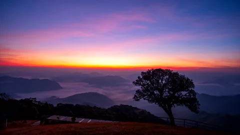 Beautiful Time-lapse during dawn sky over the sea of clouds with lonely tree Stock Footage 259053914